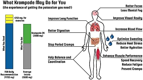 Electrolytes Powder Potassium Supplement - 4000 mg K+, 4X More Than Coconut Water | Instant Cramp Relief | Hydration Powder