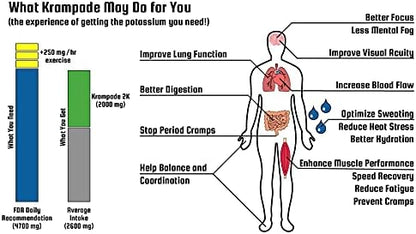 Electrolytes Powder Potassium Supplement - 4000 mg K+, 4X More Than Coconut Water | Instant Cramp Relief | Hydration Powder