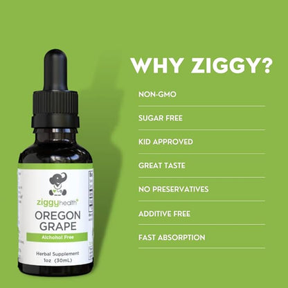 Premium Organic Oregon Grape Root Tincture - Alcohol-Free Extract, 1oz | Herbal Support | Ziggy Health