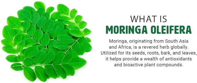 Moringa Oleifera Leaf and Seed Powder (80:20) Ratio 300 Pills(Tablets), 150 Servings, 1000 mg. Uncoated Malunggay Herbal Supplement, No Chemical Coating, Green Superfood. Pack of 2.