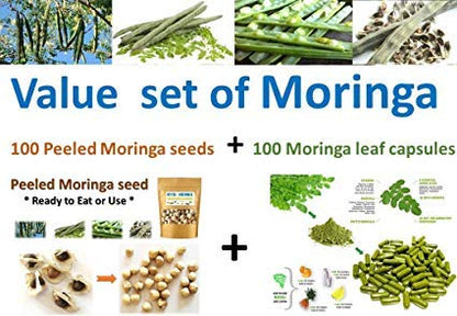 Neotea Pure Moringa Seed Murungai Vidhai Drumstick Seed Powder 300 gm (10.58 OZ)