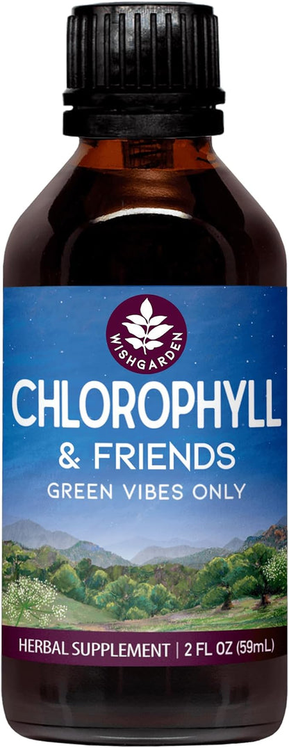 WishGarden Herbs Chlorophyll & Friends - Chlorophyll Liquid Drops with Nettle Leaf, Holy Basil, Moringa Leaf & Peppermint Leaf, Supports Increased Energy, Healthy Immune, & Stress Response, 2oz