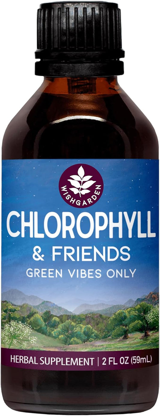 WishGarden Herbs Chlorophyll & Friends - Chlorophyll Liquid Drops with Nettle Leaf, Holy Basil, Moringa Leaf & Peppermint Leaf, Supports Increased Energy, Healthy Immune, & Stress Response, 2oz