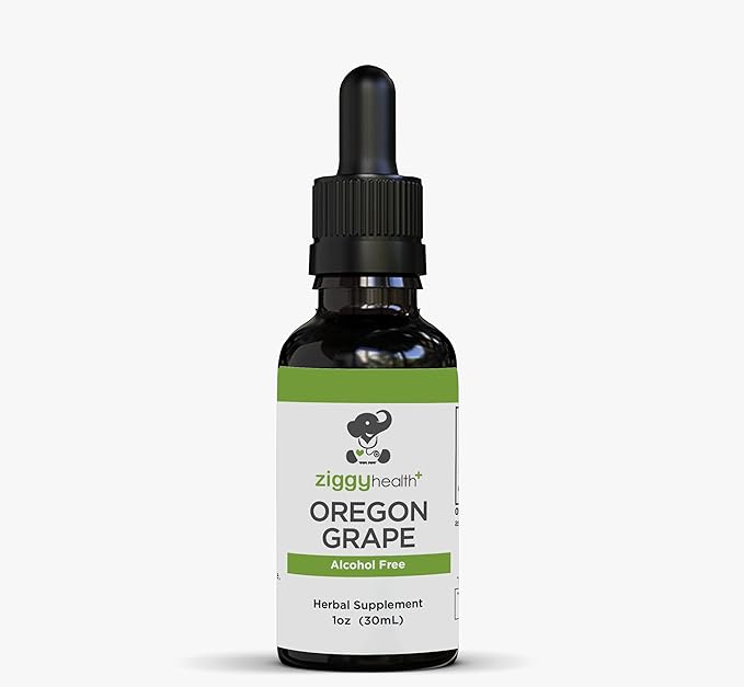 Premium Organic Oregon Grape Root Tincture - Alcohol-Free Extract, 1oz | Herbal Support | Ziggy Health