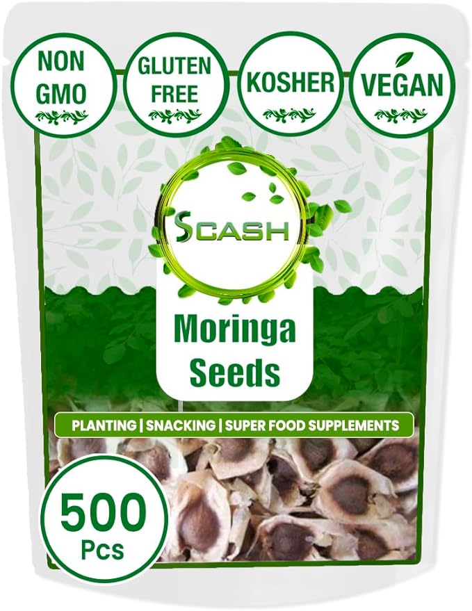 Moringa 500 Pcs Semillas De Moringa| Antioxidant Rich Superfood