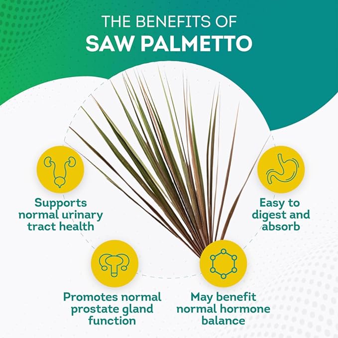 Premium Saw Palmetto 500 mg for Men & Women – Maximum Strength Saw Palmetto Extract & Powder Capsules Supplement - Support Normal Urinary Tract, Prostate Health & Hair - 3 Months Supply - 100 Tablets