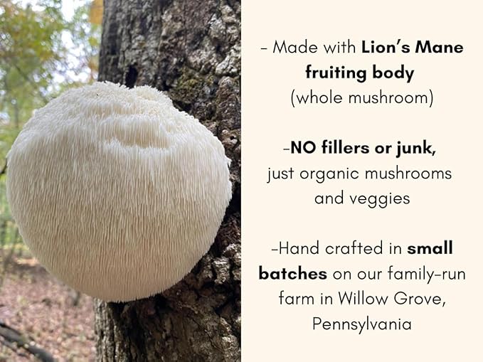 Lion's Grove Farm | Organic Lion's Mane Mushroom and Veggies | USA Grown Organic Lion's Mane Mushroom Powder | Fruiting Body Only | Vegetable Powder for Kids and Picky Eaters | 2 Oz