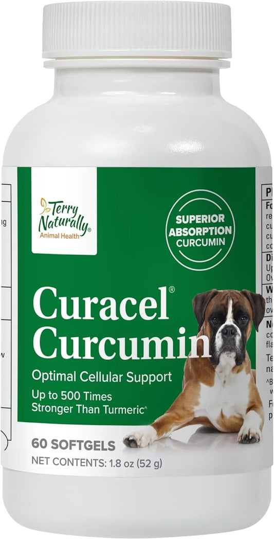 Terry Naturally Animal Health Curacel Curcumin - 60 Softgels - Optimal Cellular Support - Canine Only - 60 Servings