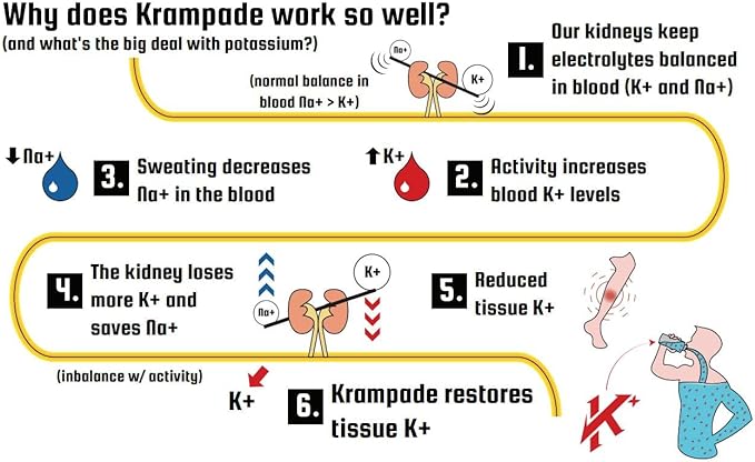 Electrolytes Powder Potassium Supplement - 4000 mg K+, 4X More Than Coconut Water | Instant Cramp Relief | Hydration Powder