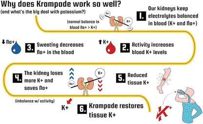 Electrolytes Powder Potassium Supplement - 4000 mg K+, 4X More Than Coconut Water | Instant Cramp Relief | Hydration Powder