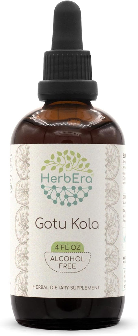 Gotu Kola B120 Tincture Alcohol-Free Herbal Extract, Concentrated Liquid Drops Natural Gotu Kola (Centella Asiatica) 4 fl oz