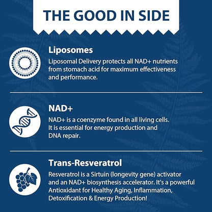 Liposomal NAD+ 500 mg + Trans-Resveratrol 300 mg,Superior Absorption,True NAD Supplement Efficient Than NMN,Nicotinamide Riboside for Cellular Energy Metabolism & DNA Repair,Healthy Aging,120 Softgels