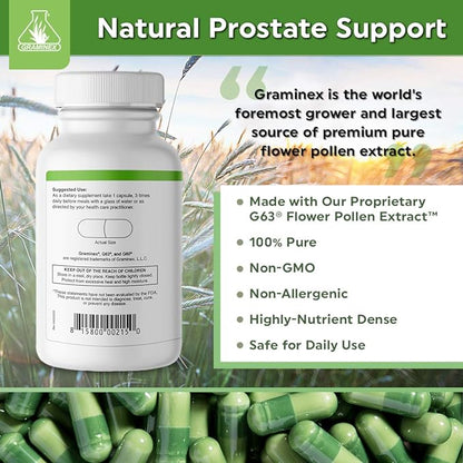 PollenAid Prostate Supplement: All Natural Prostate Support for Bladder Control & Urinary Tract Health, Rye Pollen Extract Made in USA, 90 Vegetarian Capsules