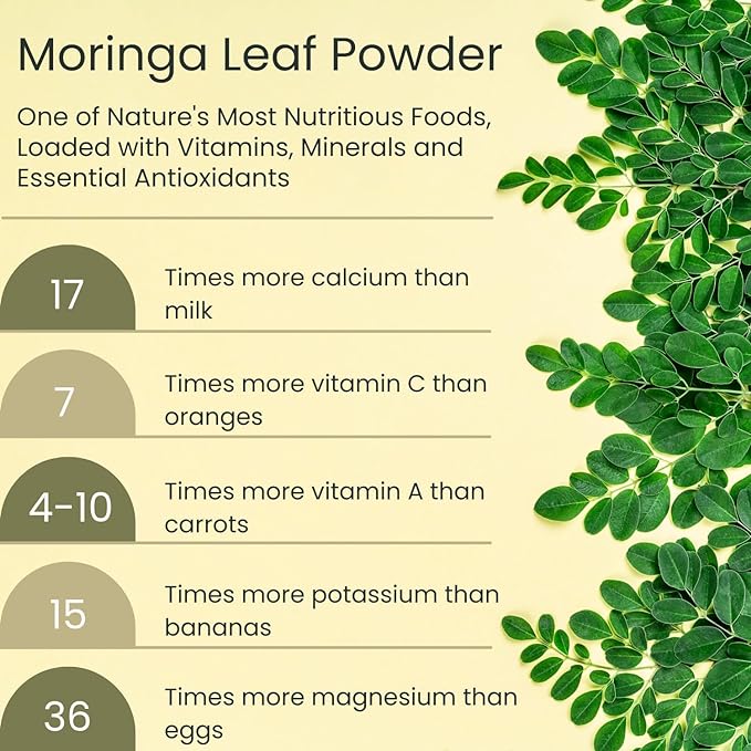 Moringa Leaf Powder - 100% Pure Organic Superfood for Immune Support - Rich in Amino Acids & Antioxidants –Pure Moringa Leaves Powder - Non-GMO- 8 oz