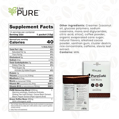 PureCafé Mocha with Green Coffee Beans Extract - Wake Up, Slim Down, and Indulge in Delicious Coffee with Garcinia Cambogia, Bioperine, B Vitamins, and Oolong Tea - Sweetened with Stevia