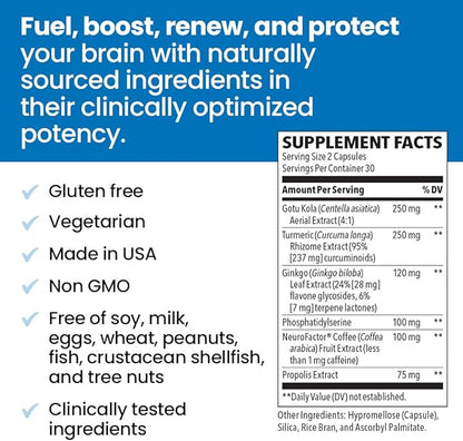 NeuroQ Memory & Focus - Boosts Cognitive Performance & Brain Function - Neuroprotective Formula by Dr. Dale Bredesen - Gotu Kola Ginkgo Phosphatidylserine & Propolis - 60 Capsules (Pack of 3)