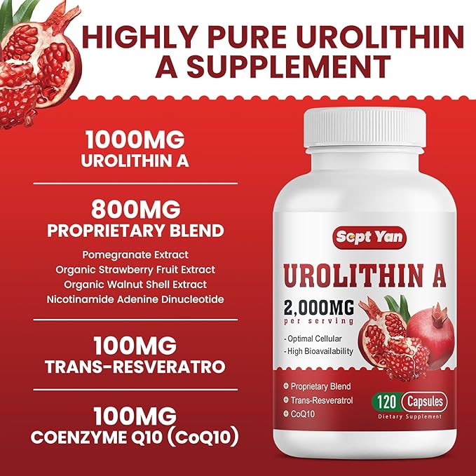 Urolithin A Supplement 2000MG - for Energy, Mitochondria, Antioxidants, Premium Quality Cellular, Healthy Aging, 30% Pomegranate Extract, NAD, Trans-Resveratrol, CoQ10-120 Capsules, Vegan