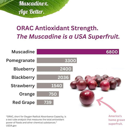 USA Muscadine Quercetin, Ellagic Acid, Resveratrol, Myricetin, Kaempferol. Plus BioPerine with Time Release Capsules for Extra Bioavailability. Vegan. Non GMO. Made in USA.