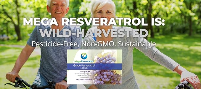 Mega Resveratrol Red Grape Skin, Piceid Resveratrol, Water-Soluble/High Absorption/Boosts Nitric Oxide. 500mg per Capsule. Purity Certified. NO Toxic “inactive” Ingredients. Keto, Vegan, Non-GMO.