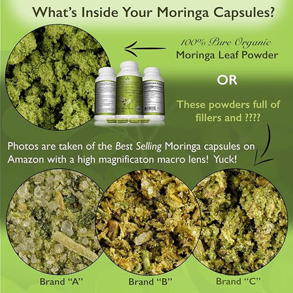 Organic Moringa Capsules - Vibrant Green | Moringa Capsules Organic | 100% Pure Moringa Leaf Capsules | Energy & Immune System Support