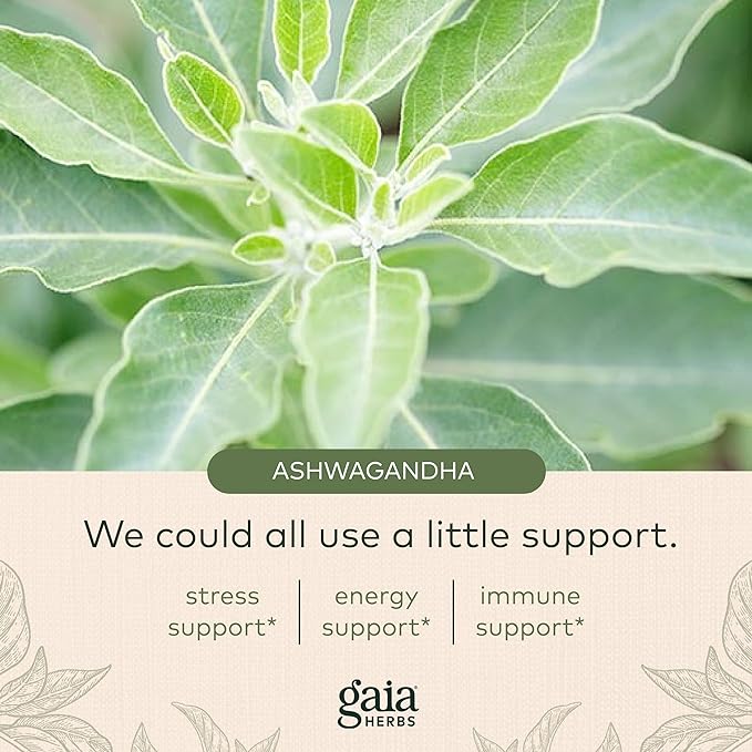 Gaia Herbs Organic Ashwagandha Gummies, Stress Support, Cinnamon, Ginger, Gluten Free, Vegan, 120 Count