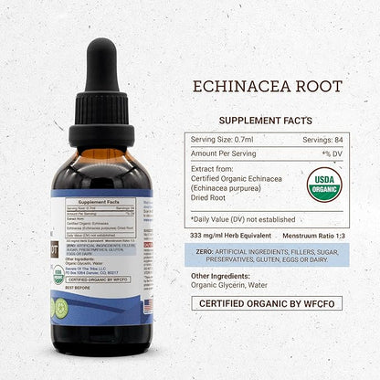 Echinacea Root USDA Organic Tincture | Alcohol-Free Extract, High-Potency Herbal Drops, Immune System Health | Made from 100% Certified Organic Echinacea Root (Echinacea Purpurea) 2 oz