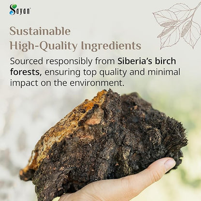 Sayan Siberian Pure Raw Chaga Mushroom Chunks with Black Top Crust 4 Oz / 113 g - Premium Wild Forest Harvested Super Antioxidant Tea, Supports Immune System and Digestive Health