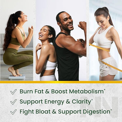 Green Tea Fat Burner Gummies for Weight Loss | Metabolism Boost & Appetite Suppressant with Green Coffee Bean Extract & Garcinia Cambogia | Pills to Burn Belly Fat for Women & Men by Nobi Nutrition