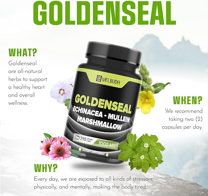 210 Capsules - Goldenseal Capsules Extract 10:1 with Echinacea, Mullein Leaf, Marshmallow - Combined Formula for Immunity, Respiratory Health, Digestion, Overall Well-being, Body Management Support