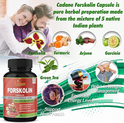 Organic Forskolin Supplements Capsules 5000Mg with Turmeric Curcumin, Arjuna, Garcinia Cambogia, Green Tea - Support Energy Production, Immune System & Body Management