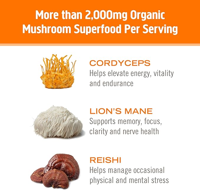 Om Mushroom Superfood Energy Plus Mushroom Powder Drink Mix, Citrus Orange, Single Serve, 10 Count, Mushroom Blend, Cordyceps, Yerba Mate, Tumeric, Vitamin B Complex, Pre-Workout, Immune Supplement