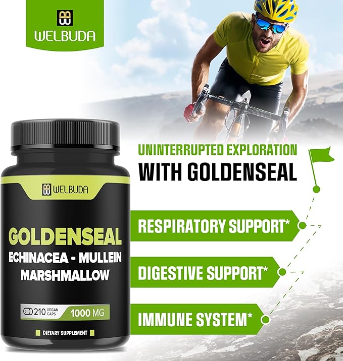 210 Capsules - Goldenseal Capsules Extract 10:1 with Echinacea, Mullein Leaf, Marshmallow - Combined Formula for Immunity, Respiratory Health, Digestion, Overall Well-being, Body Management Support