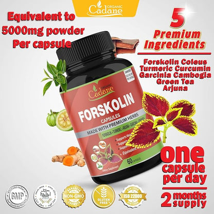 Organic Forskolin Supplements Capsules 5000Mg with Turmeric Curcumin, Arjuna, Garcinia Cambogia, Green Tea - Support Energy Production, Immune System & Body Management