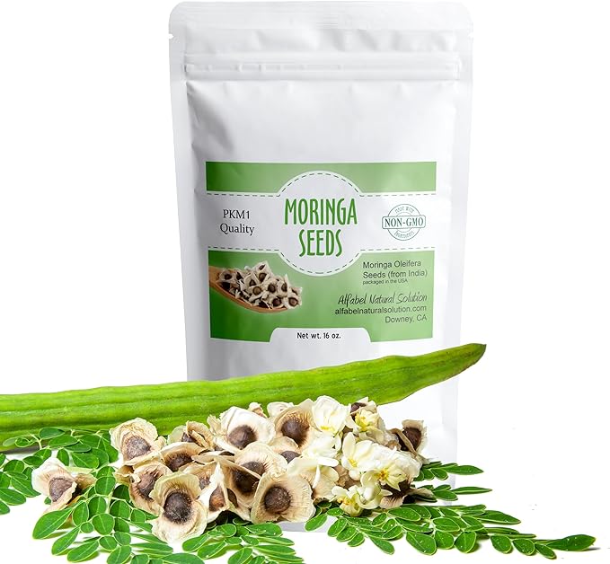 Moringa Oleifera Seeds PKM1 Premium Quality - 1 LB (16 oz) - Edible - Planting - Reseable Pouch