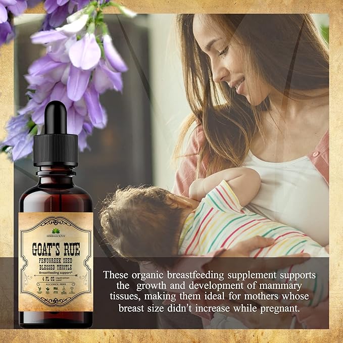 Goat's Rue Liquid Extract 4 fl oz - Natural Herbal Tincture with Goat's Rue, Fenugreek Seeds, Blessed Thistle - Alcohol Free Non-GMO Lactation Supplement for Increased Breast Milk