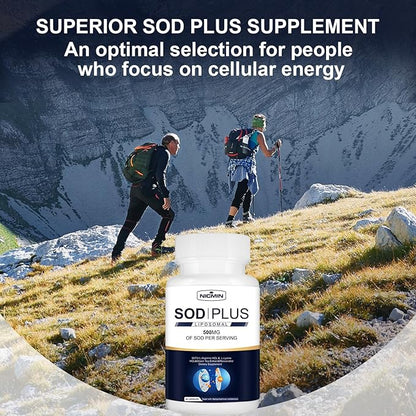 SOD Plus Supplement 500mg Antioxidant Supplements with liposomal glutathione, AKG, Green Tea Extract, L-Arginine, Lysine, Resveratrol and Vitamin E for Immune Support